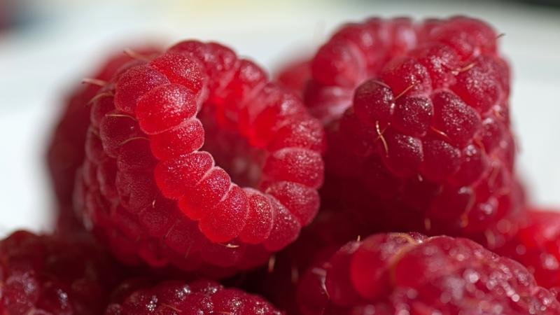 Die besten Sorten von großfruchtigen Himbeeren