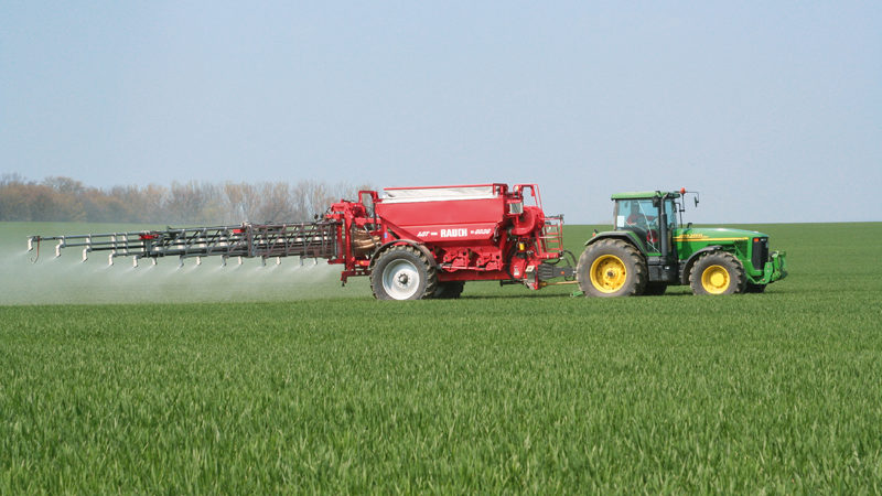 Top Dressing von Winterweizen: Methoden und Düngungsraten