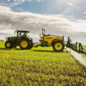 Top Dressing von Winterweizen: Methoden und Düngungsraten