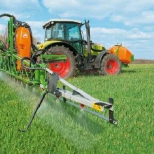 Top Dressing von Winterweizen: Methoden und Düngungsraten