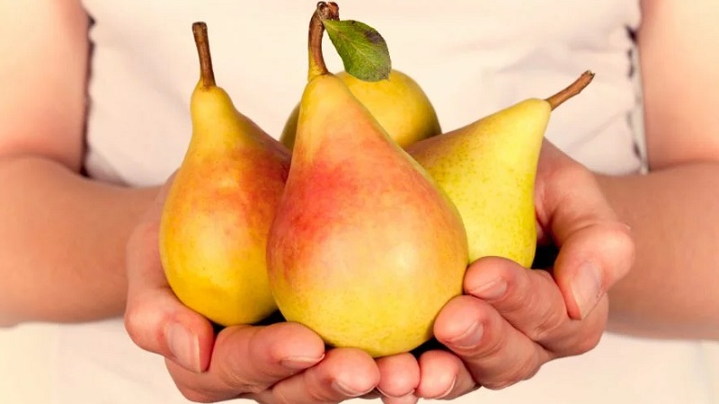 Delicious but strict pear diet: menu options and effectiveness