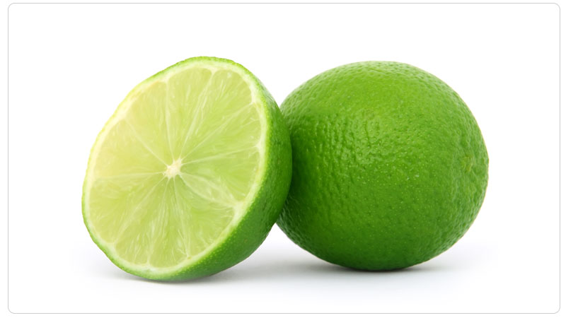 Lime varieties - description and characteristics