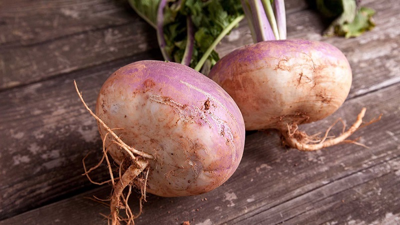 Was ist der Unterschied zwischen Rutabaga und Rübe?