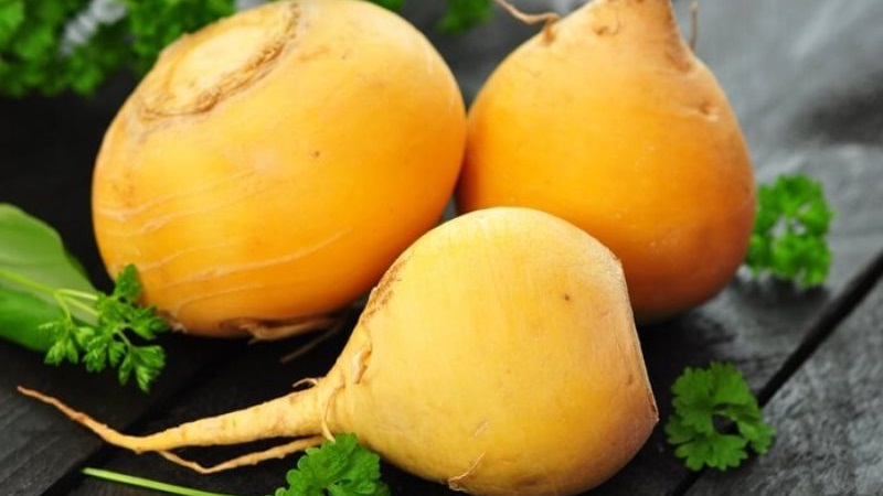 Was ist der Unterschied zwischen Rutabaga und Rübe?