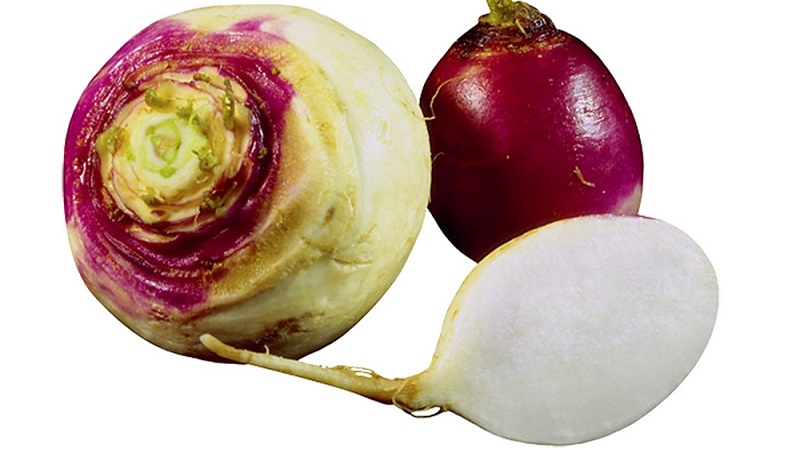 Was ist der Unterschied zwischen Rutabaga und Rübe?