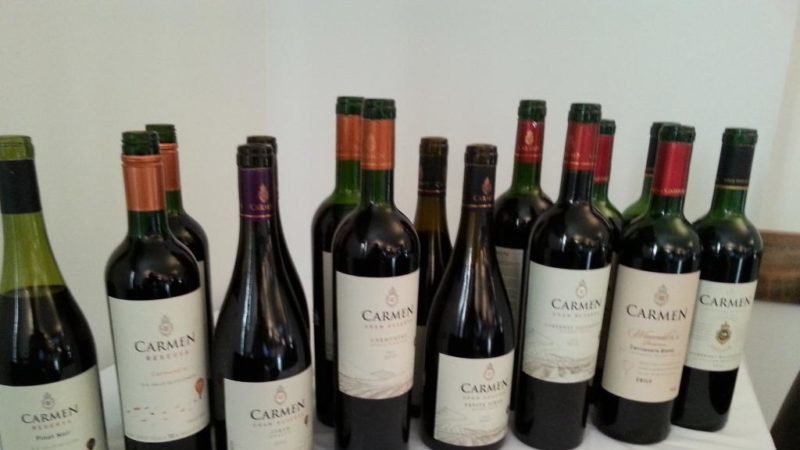 Unprätentiöse leckere Carmenere-Rebsorte