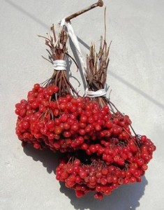 Ist es möglich, Viburnum zu trocknen und wie es zu Hause gemacht wird?