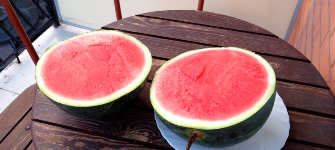 Was ist gut an einer Wassermelone ohne Samen, welche Sorten gibt es und wie kann man sie anbauen?