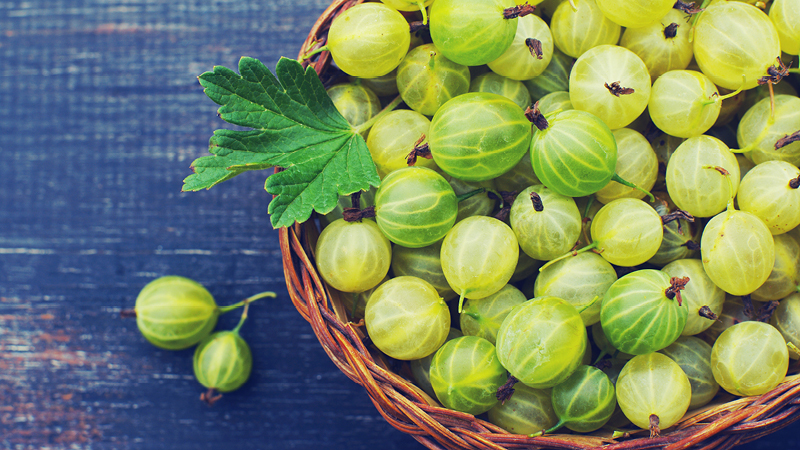 Warum Stachelbeeren gut für Frauen sind