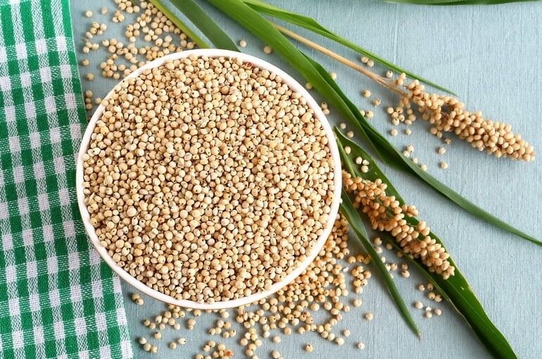 Was ist Getreidesorghum, Merkmale seiner Verwendung und seines Anbaus