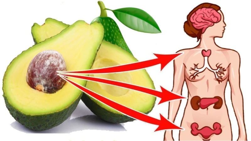 Die unglaublichen Vorteile von Avocados für Frauen - Mythos oder Realität?