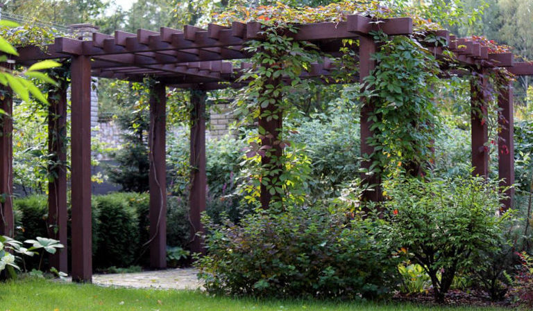 Wie man eine Traubenpergola mit eigenen Händen macht