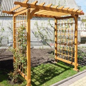 Wie man eine Traubenpergola mit eigenen Händen macht