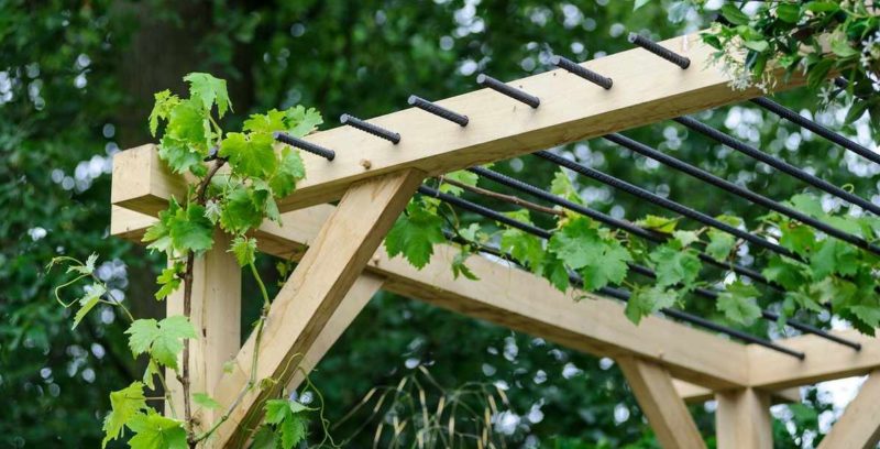 Wie man eine Traubenpergola mit eigenen Händen macht