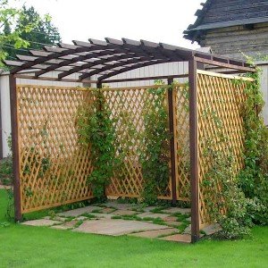 Wie man eine Traubenpergola mit eigenen Händen macht