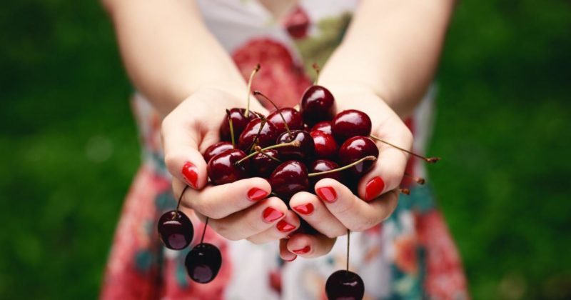 Warum sind Kirschbeeren nützlich für den Körper einer Frau?