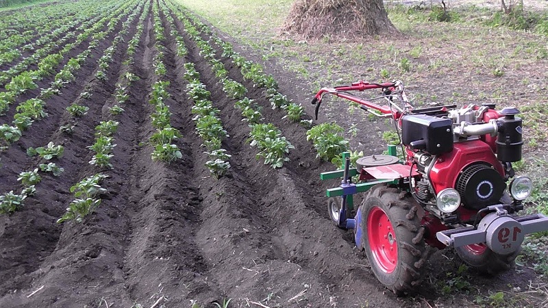 Technik zum Hillen von Kartoffeln mit einem handgeführten Traktor