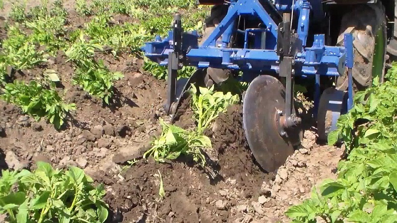 Technik zum Hillen von Kartoffeln mit einem handgeführten Traktor