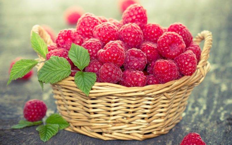 Anleitung zum Gießen von Himbeeren im Sommer: Häufigkeit, Häufigkeit und Methoden